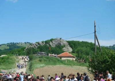 Manifestimi tanushe00