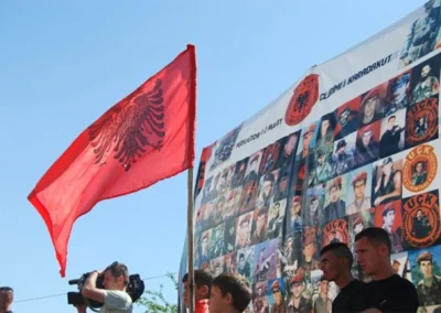 Manifestimi tanushe01