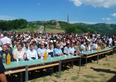 Manifestimi tanushe03