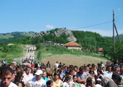 Manifestimi tanushe04